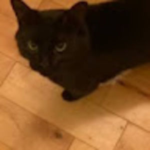 Meet your Posher, Desislava